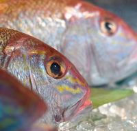 Coro Hotel - Lure Seafood Restaurant - Accommodation QLD