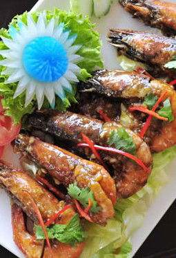 Sherwood QLD Accommodation QLD