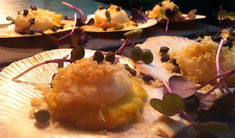 Shangri-La Gardens - Accommodation QLD 1