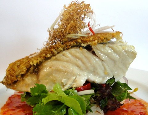 Sago Restaurants - Accommodation QLD 3