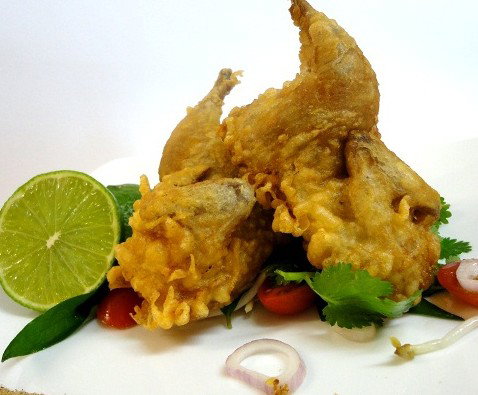 Sago Restaurants - Accommodation QLD 4