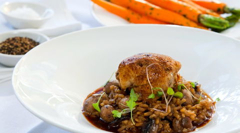 Rococo Noosa - Accommodation QLD 5