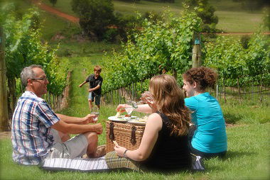 Oceanview Estate Winery / Restaurant - Accommodation QLD 7