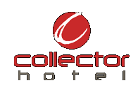 The Collector Hotel - Accommodation QLD 0