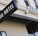 Skinny Dog Hotel - Accommodation QLD