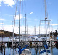 Oyster Cove Inn - Accommodation QLD