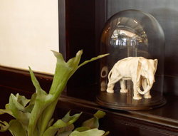 Greenwich Hotel - Accommodation QLD 2