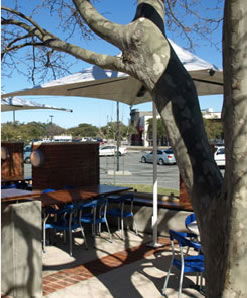 Lakers Tavern - Accommodation QLD 3