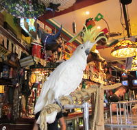 A Friend In Hand - Accommodation QLD