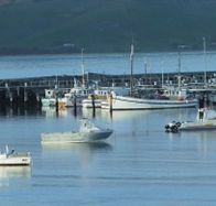 The Apollo Bay Hotel - Accommodation QLD