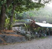 Ellis Beach Bar  Grill - Accommodation QLD