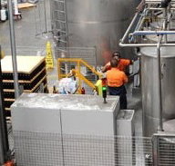 Little Creatures - Accommodation QLD