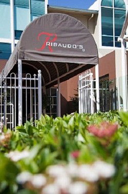 Ribaudos Ristorante - Accommodation QLD 0