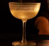 Grasshopper - Accommodation QLD