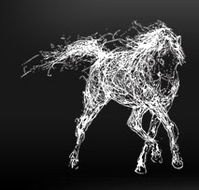 The White Horse - Accommodation QLD