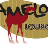 Camelot Lounge - Accommodation QLD