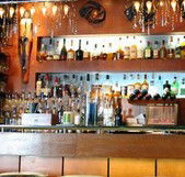 Safari Cocktail Bar - Accommodation QLD