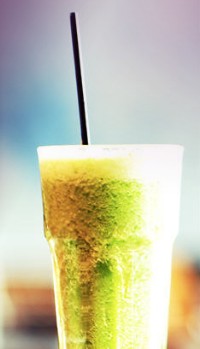 Wild Fig - Accommodation QLD 1