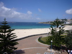 Aquarium - Accommodation QLD 2