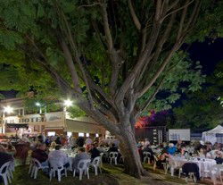 Premier Hotel - Accommodation QLD 2