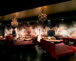 Dome Bar - Accommodation QLD 3