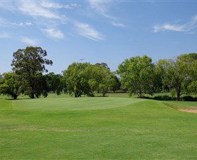 Singleton Golf Club - Accommodation QLD 1