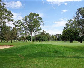 Singleton Golf Club - Accommodation QLD 0