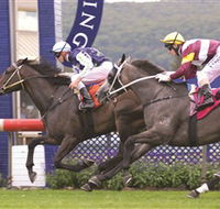 Gosford Race Club - Accommodation QLD