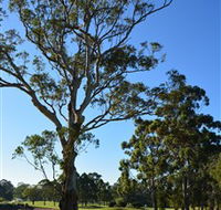 Ryde-Parramatta Golf Club - Accommodation QLD