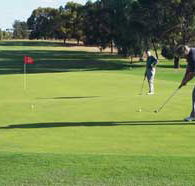 Waikerie Golf Club - Accommodation QLD