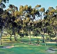 Tanunda Pines Golf Club - Accommodation QLD