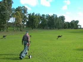 Coffin Bay Golf Club - Accommodation QLD 0