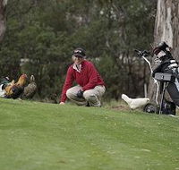 Tasmania Golf Club - The - Accommodation QLD