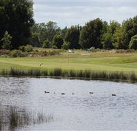 Llanherne Golf Club - Accommodation QLD
