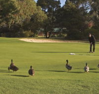 Royal Hobart Golf Club - Accommodation QLD