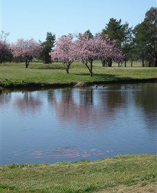 RMC Golf Club - Accommodation QLD 0