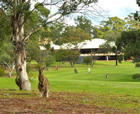 Merimbula NSW Accommodation QLD