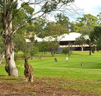 Pambula Merimbula Golf Club - Accommodation QLD