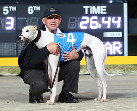 Bulli Greyhound Racing Club - Accommodation QLD 2