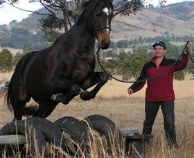 Kings Creek Saddle Club - Accommodation QLD 5