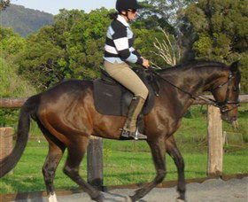 Kings Creek Saddle Club - Accommodation QLD 6