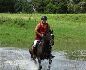 Kings Creek Saddle Club - Accommodation QLD 4