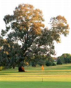 Cowra Golf Club - Accommodation QLD 0