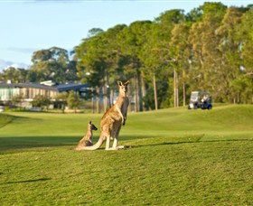 Sanctuary Cove Golf And Country Club - Accommodation QLD 0