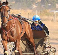 Ballarat  District Trotting Club - Accommodation QLD
