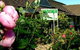 Leura Golf Club - thumb 0