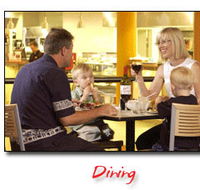 Steelers Club - Accommodation QLD