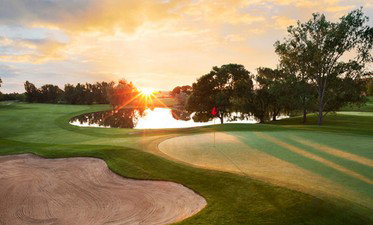 Ringarooma Golf Club - Accommodation QLD 0