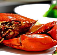 Newquay International Buffet - Accommodation QLD