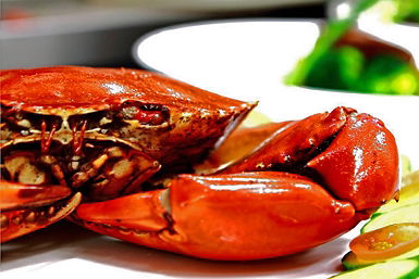Newquay International Buffet - Accommodation QLD 0